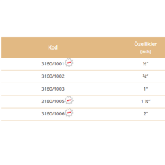 2'' SU DEPOSU ÇIKIŞ ADAPTÖRÜ